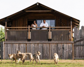 Grand lodge Dormir avec les loups